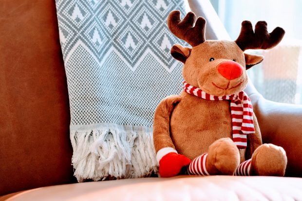 reindeer cuddly toy sat on a sofa